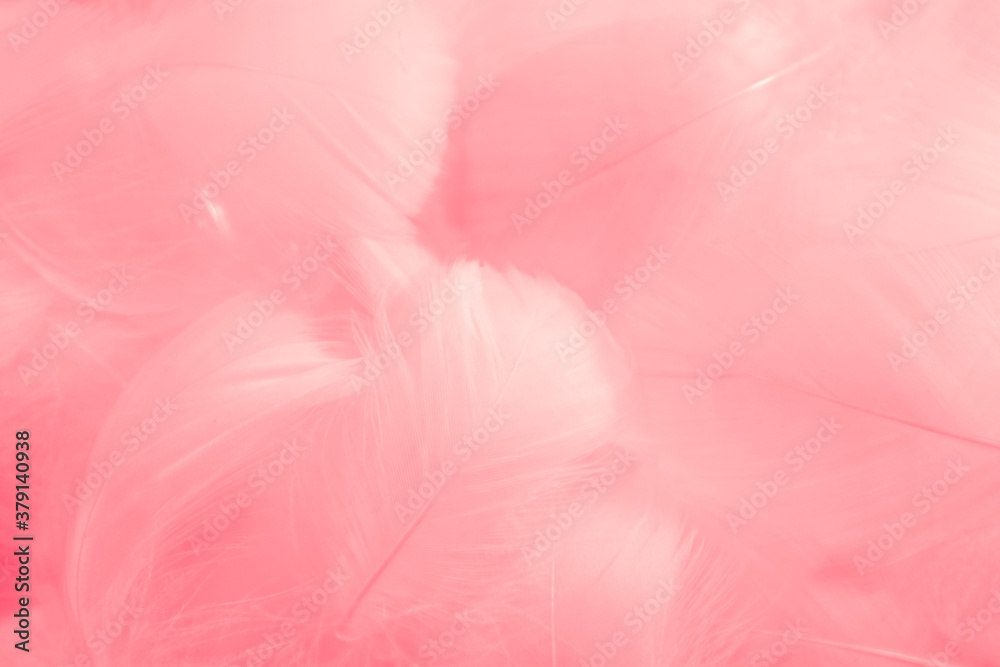 Fototapeta premium Beautiful abstract gray and pink feathers on white background, white feather frame texture on pink pattern and pink background