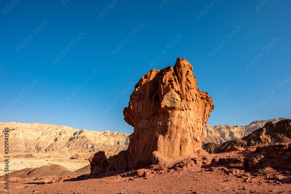 Sculpture of a Muchroom and a Half made by nature in the Arava Valley near Eilat. Timna Park. Israel. 