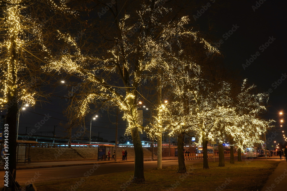 Trees painted with lights for the new year.
