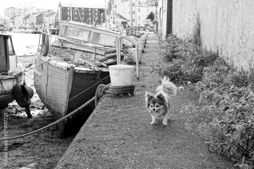 Obraz na plátně BOATS, RAMSEY, ISLE OF MAN, BLACK AND WHITE