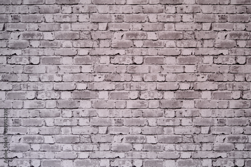 Fototapeta premium gray brick wall texture old