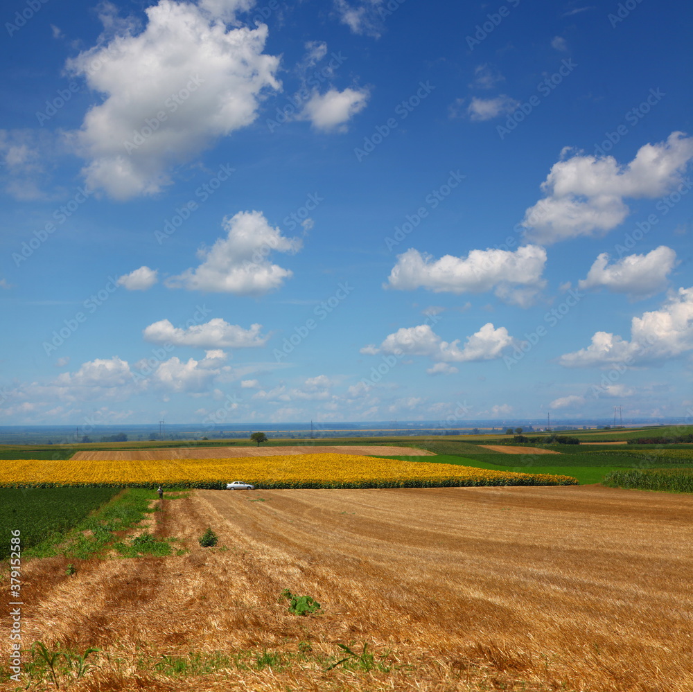 Summer landscape in Serbia, Europe Summer landscape in Serbia, Europe