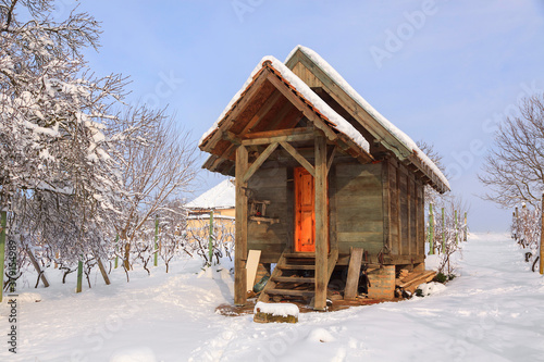 Winter landscape in Vojvodina, Serbia