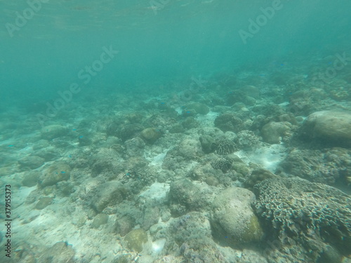 Wallpaper Mural DCIM\100GOPRO\GOPR7223.JPG Torontodigital.ca