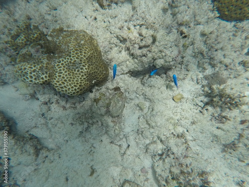 Wallpaper Mural DCIM\100GOPRO\GOPR7170.JPG Torontodigital.ca