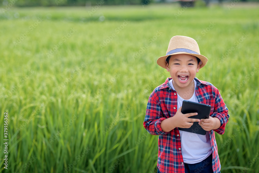 Happy asian boy Interested in learning about rice fields and green rice trees. Use technology to learn about agricultural research and rice cultivation in Thailand. Happy asian boy Interested in learning about rice fields and green rice trees. Use technology to learn about agricultural research and rice cultivation in Thailand.