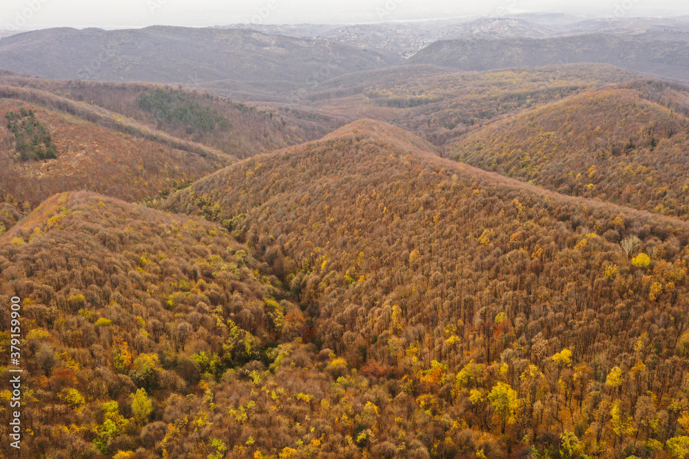 Aerial photo of a colored forest in autumn