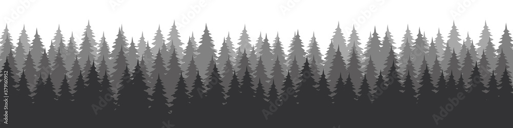 Obraz premium Forest landscape with silhouettes of coniferous trees. Horizontal backgrounds of nature. Vector illustration 