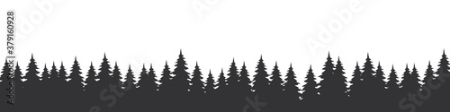Forest landscape with silhouettes of coniferous trees. Horizontal backgrounds of nature. Vector illustration
