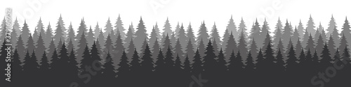 Forest landscape with silhouettes of coniferous trees. Horizontal backgrounds of nature. Vector illustration 