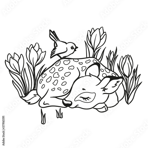 Vector illustration with cute sleeping deer with a blue bird and with flowers. Isolated on white background. (ID: 379165191)