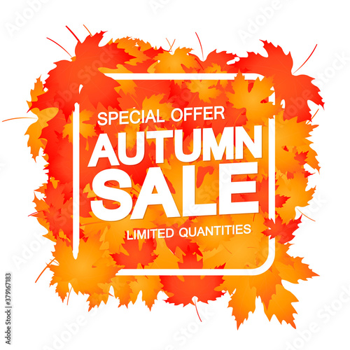 Autumn Sale, Fall discount poster design template, special offer, vector illustration