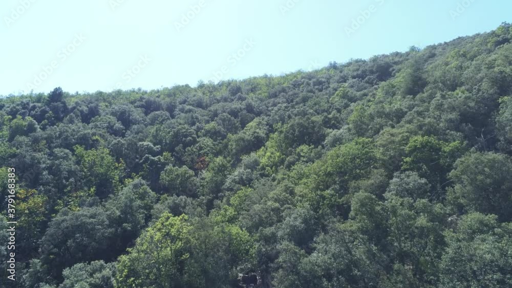 Forêt dans les Cévennes, vue aérienne Forêt dans les Cévennes, vue aérienne