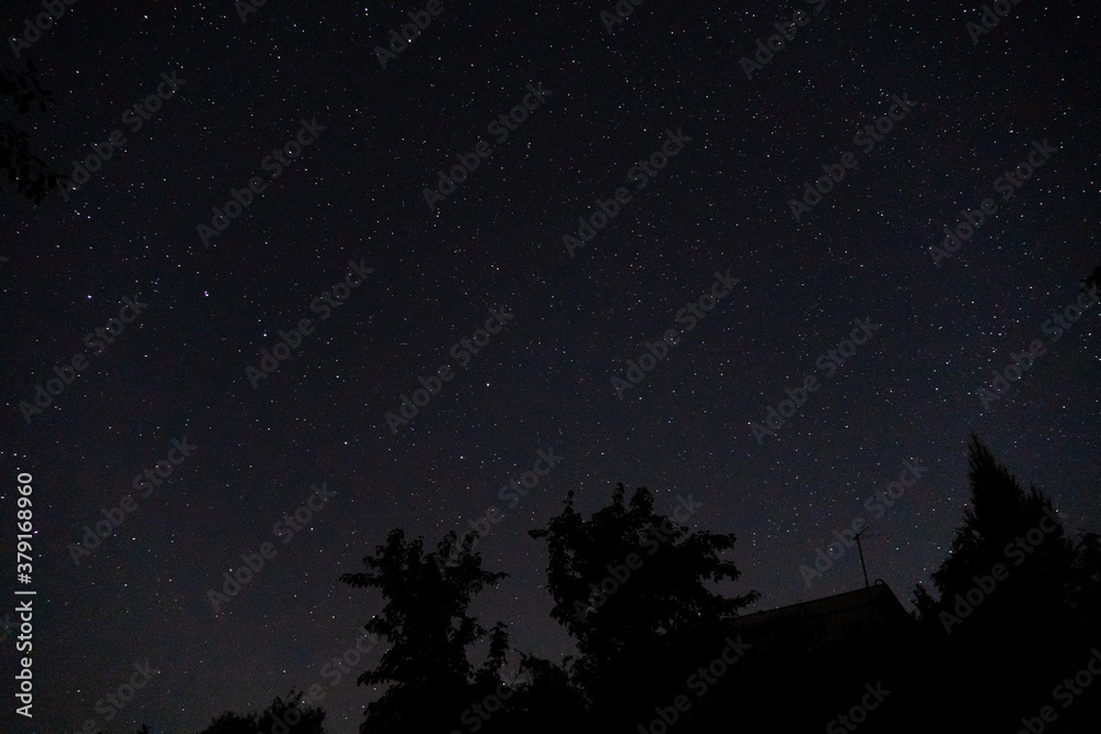 Obraz premium summer night starry sky