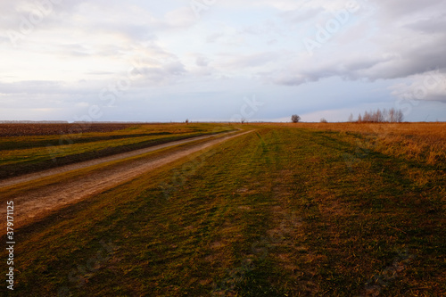 Fototapeta Naklejka Na Ścianę i Meble -  Country road among the fields in a late spring evening. Twilight landscape.