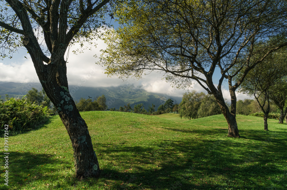 Landscape with trees with soft green hills, mountains and white clouds in the background in Asturias in Spain. Landscape with trees with soft green hills, mountains and white clouds in the background in Asturias in Spain.