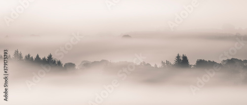 Fog, Lochwinnoch, Renfrewshire, Scotland , UK .