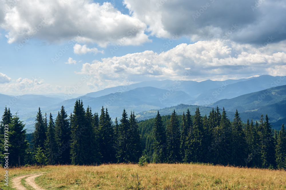 Mountains hills landscape during a sunny day with blue sky clouds. Dark autumn trees. Forest in summer. Hiking in wild mountains. Adventure Local Travel Concept Mountains hills landscape during a sunny day with blue sky clouds. Dark autumn trees. Forest in summer. Hiking in wild mountains. Adventure Local Travel Concept