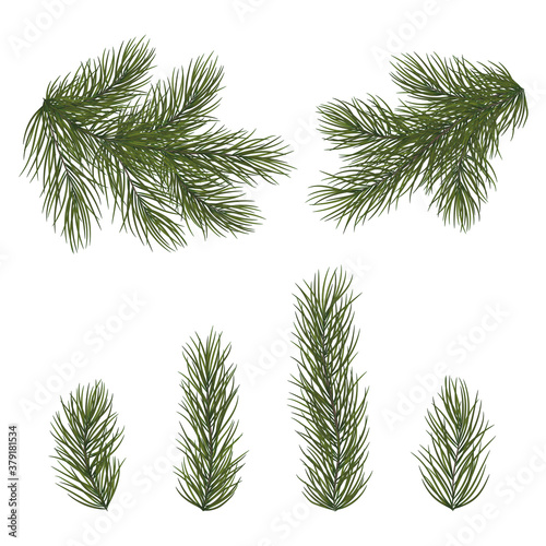 Set of fir branches for Christmas decor. Christmas tree branches close-up in a realistic style. EPS10