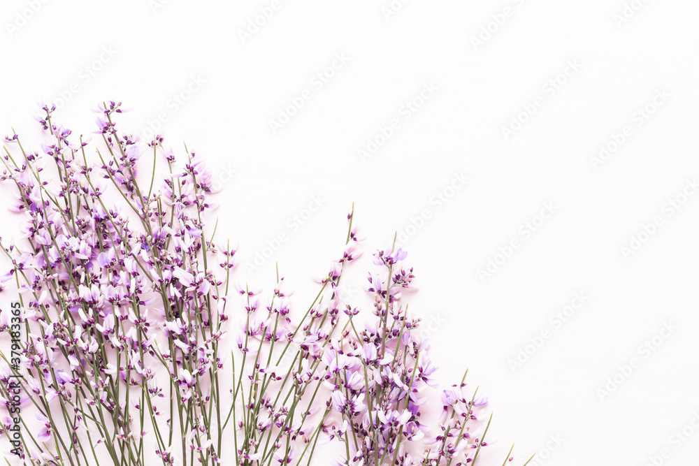 Naklejka premium Flowers composition. Pink flowers on pink background. Easter, spring concept. Greeting card.