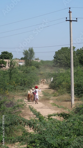 Wallpaper Mural INDE Torontodigital.ca