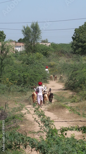 Wallpaper Mural INDE Torontodigital.ca