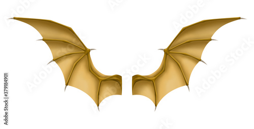 Old Wings of Dragon