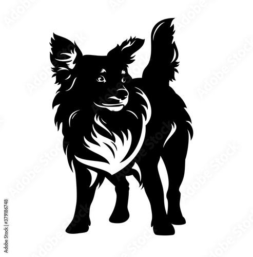 mixed breed dog standing and watching attentively - cute pet black and white vector portrait