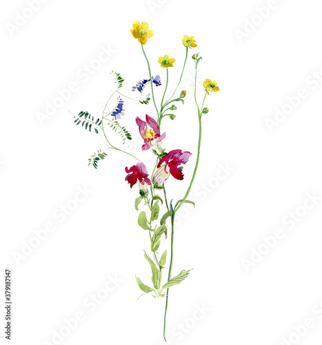 Spring Easter Design, Buttercup, Sweet Peas Flowers Bouquet, Floral Wattercolor Arrangement, Botanical Wild Herb Illustration 
