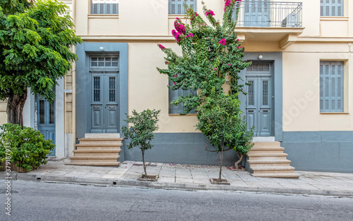 two family vintage house front and grn flower plant by the sidewalk  Athens Greece
