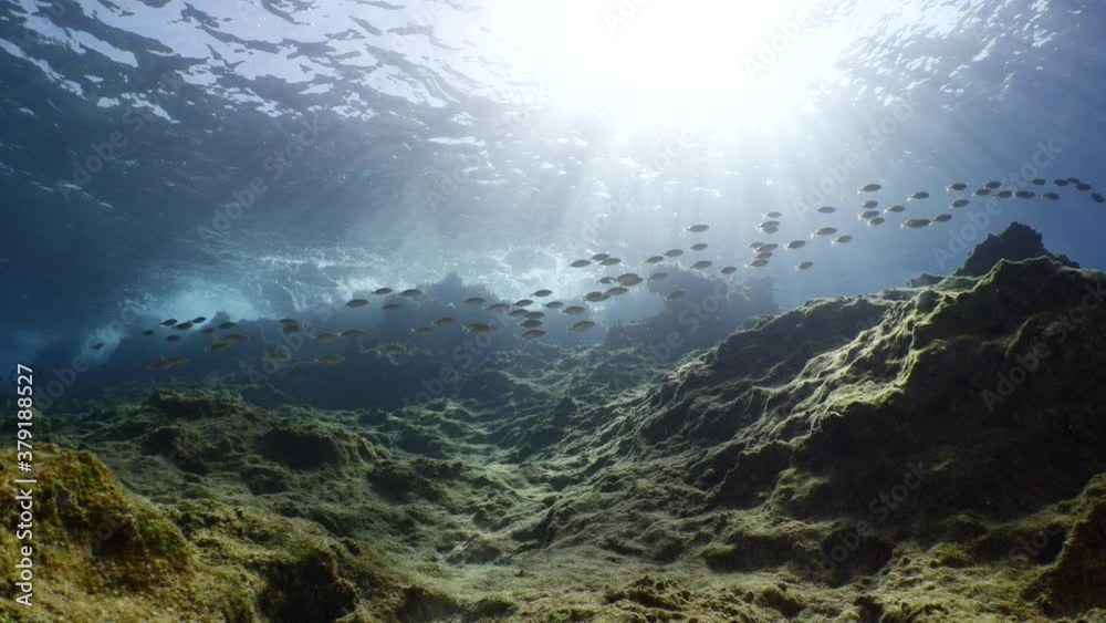 fish scenery underwater sun beams sun rays underwater mediterranean sea sun shine relaxing ocean scenery fish scenery underwater sun beams sun rays underwater mediterranean sea sun shine relaxing ocean scenery