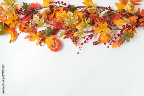 autumn background on white