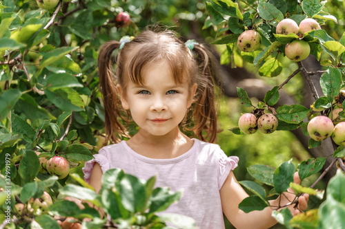 portrait of a little girl among the branches of an apple tree in autumn