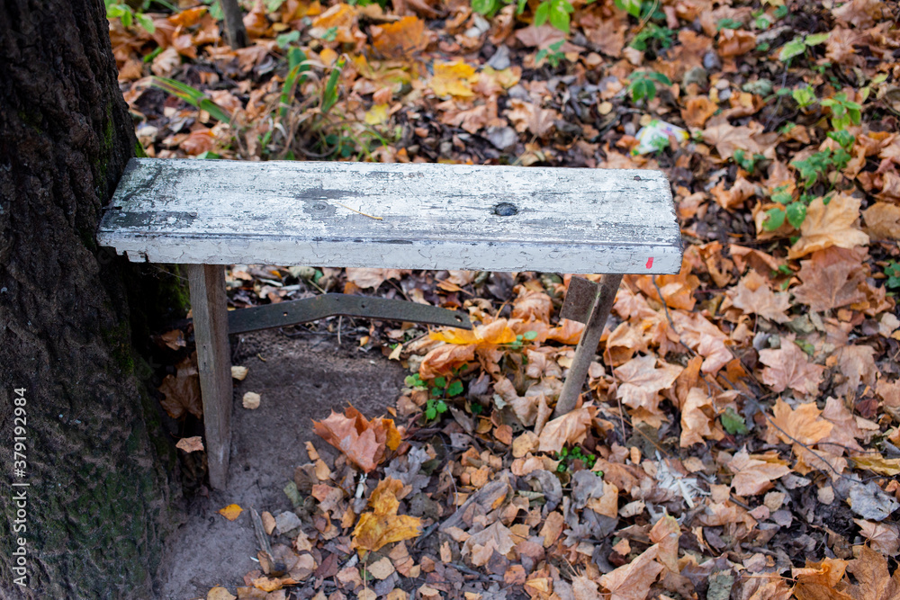 Ugly seat against the background of old autumn leaves. Ugly seat against the background of old autumn leaves.