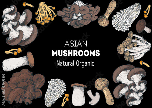 Edible mushrooms hand drawn. Vector illustrations collection. Hand drawn food. Vintage mushrooms. Organic food. Forest mushrooms. Vintage mushrooms background. Healthy food illustration. Colorful set.