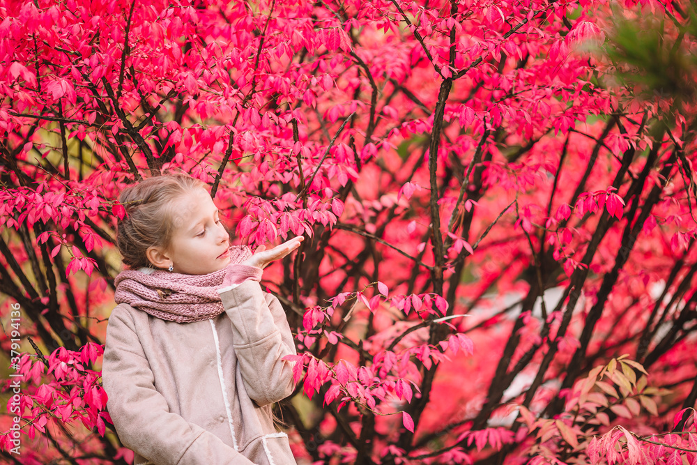 Portrait of adorable little girl outdoors at beautiful autumn day Portrait of adorable little girl outdoors at beautiful autumn day