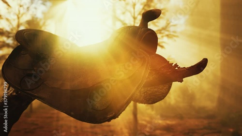 vintage Leather horse saddle on the dead tree in forest at sunset photo