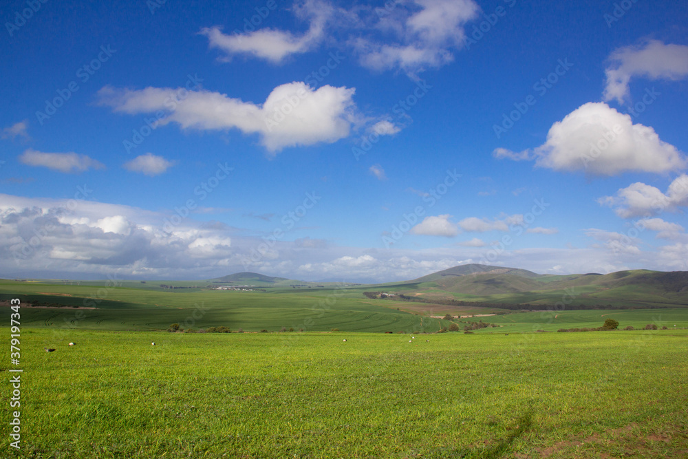 The green landscape, meadow, farmlands, and vineyards from a distance. The green landscape, meadow, farmlands, and vineyards from a distance.