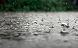 Rain fall on the ground in rains season.