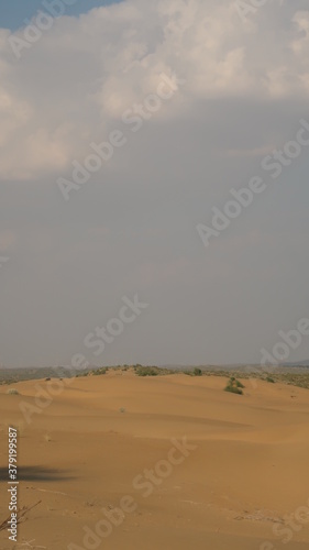 Wallpaper Mural SAFARI JAISALMER INDE DESERT Torontodigital.ca