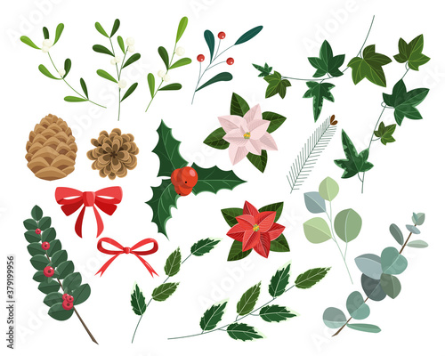 Christmas vector plants, holly berry, pine, rowan, leaves branches, holiday decoration, winter symbols isolated on white background. Vintage nature illustration. Vector illustration.