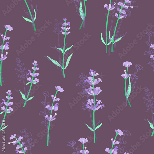 Seamless Pattern with Different Parts of Lavender photo