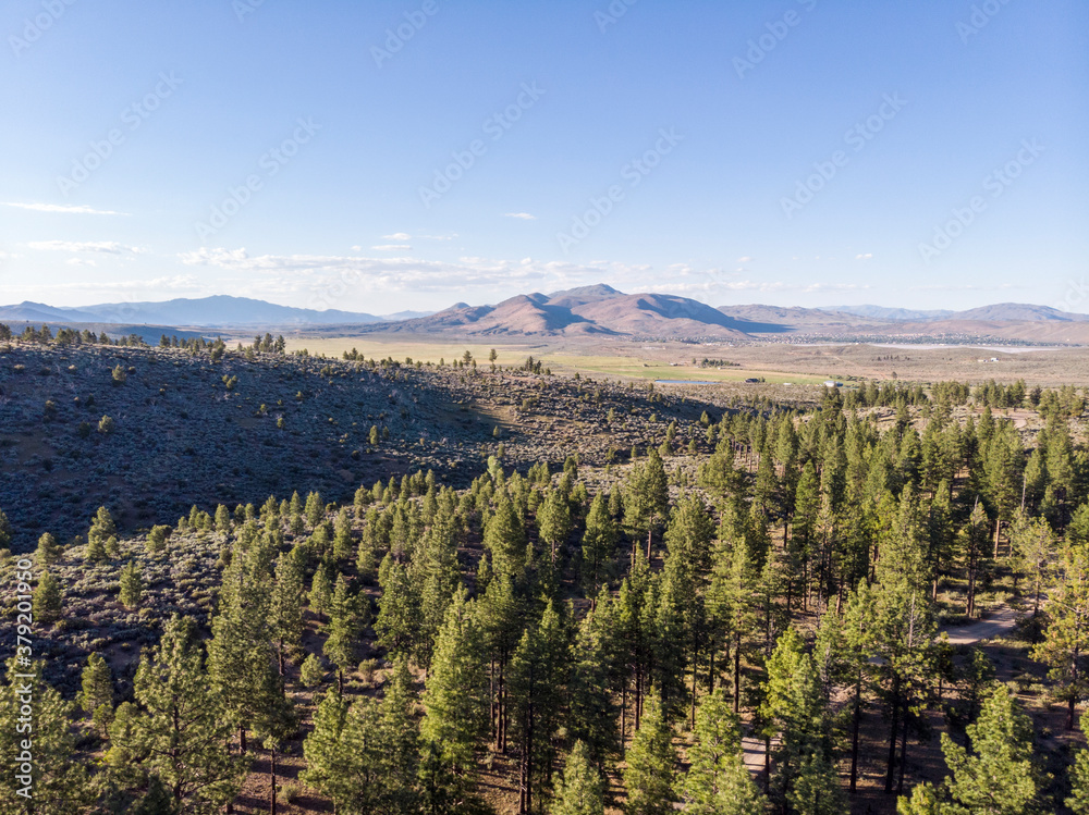 Obraz premium Drone flying trees and mountains Nevada backcountry