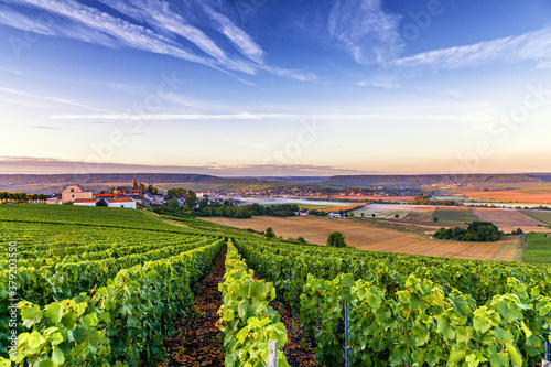 Champagne region in France. A beautiful view.	 photo