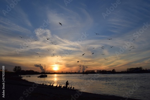 alter Mann füttert Enten bei Sonnenuntergang in Monheim am Rhein photo