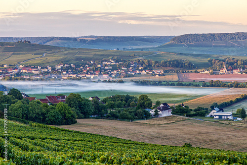 Champagne region in France. A beautiful view.	