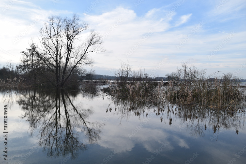 Bäume spiegeln sich im Hochwasser