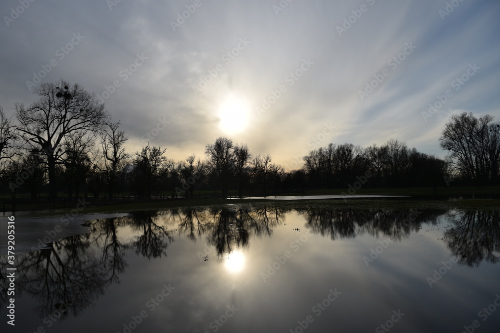 Fototapeta premium Bäume spiegeln sich im Hochwassergebiet