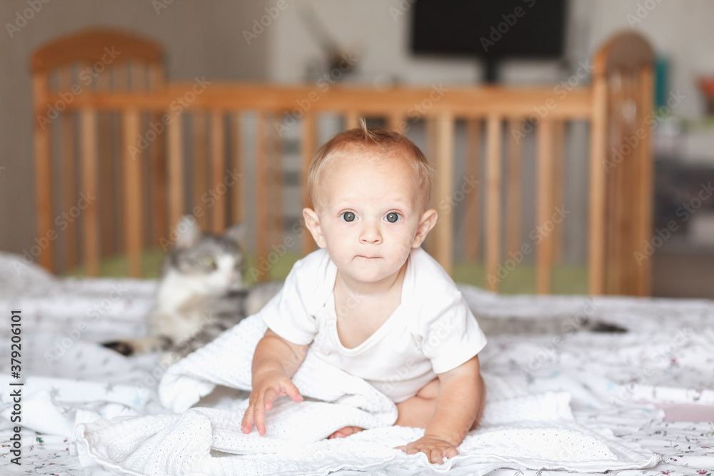baby sitting in bed in the bedroom with cat and looks at the camera close up baby sitting in bed in the bedroom with cat and looks at the camera close up