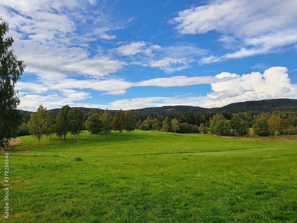 blue sky above trees on green meadow - Bogstad Gård blue sky above trees on green meadow - Bogstad Gård